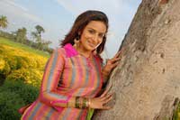 Pooja Gandhi Photos